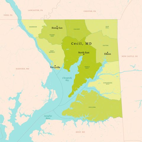 MD Cecil County Vector Map Green