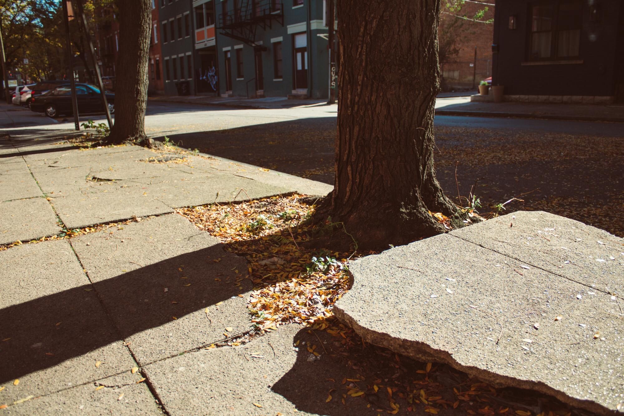 Unsafe sidewalks continue to fuel injury claims in major cities